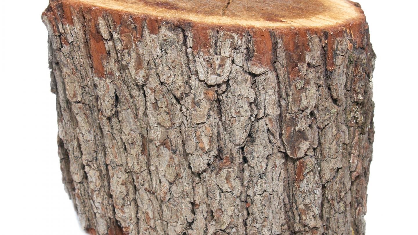 Березовое полено. Уральские пельмени поленья сосны. Уральские пельмени поленья сосны. Шоу уральские пельмени 2009. Керамические дрова.