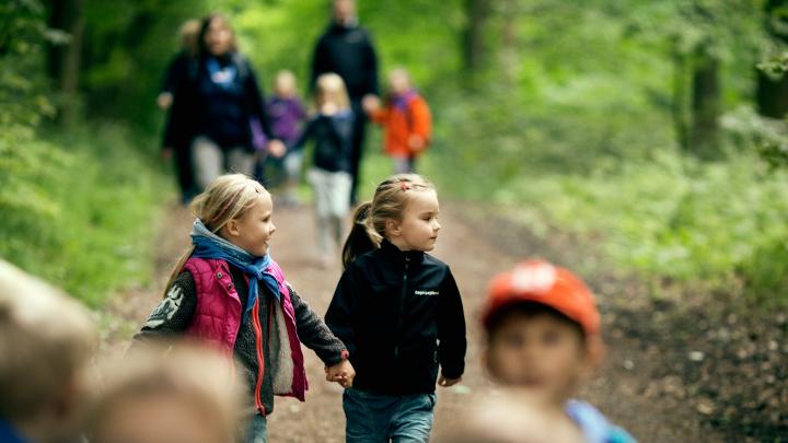 Familiespejdere i skoven