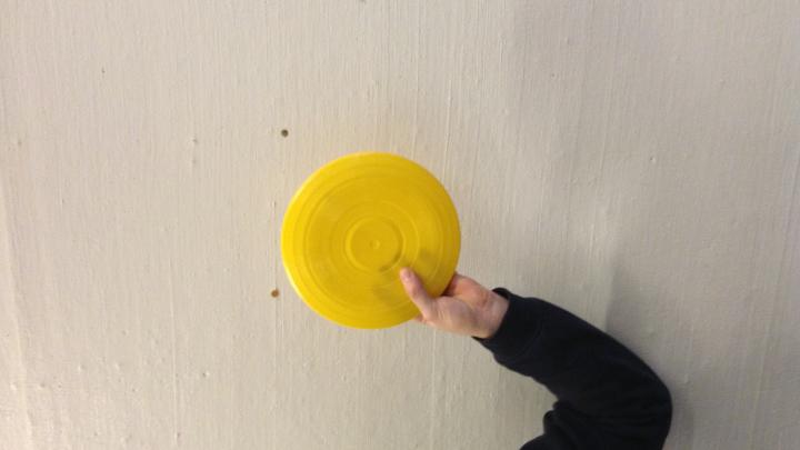 Ultimate frisbee 