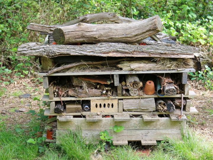 inskethotel bygget af naturmaterialer 