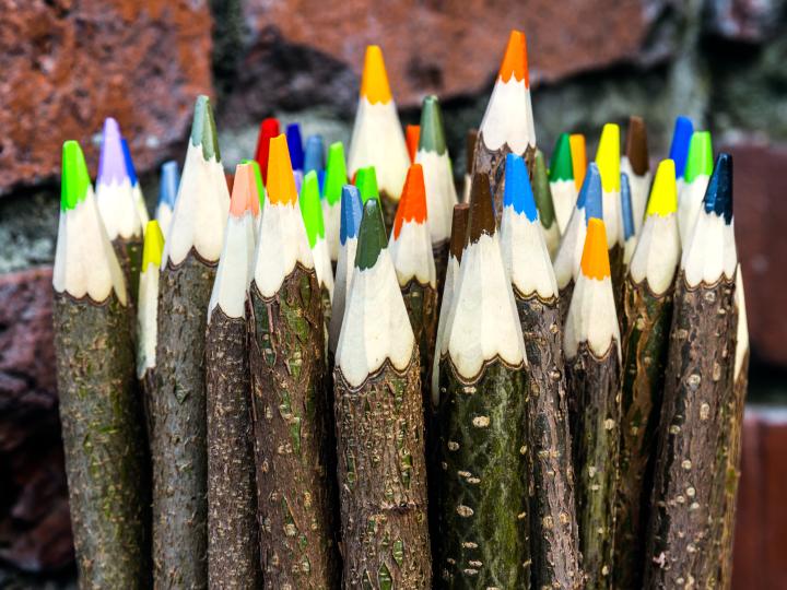 Pileblyanter i farver