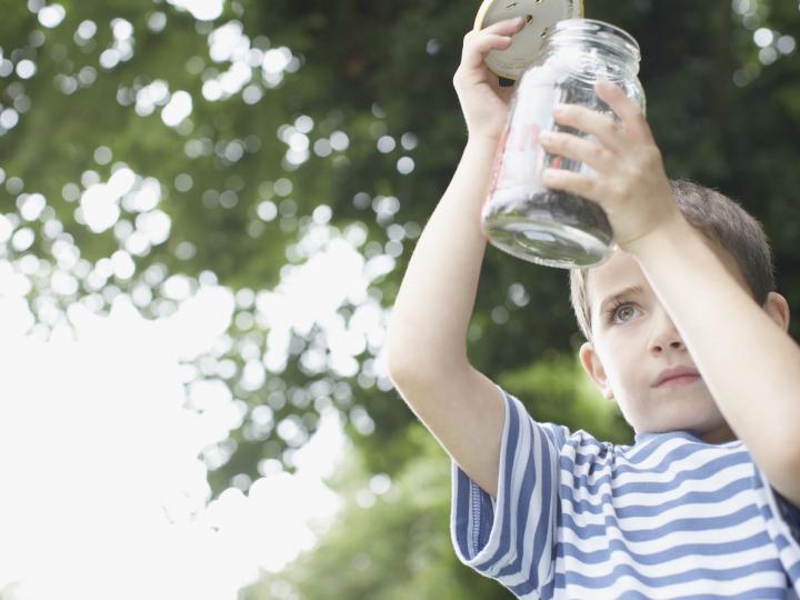 Dreng der kigger på insekter i et syltetøjsglas 