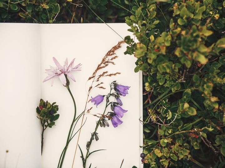 Notesblok med tørrede blomster i 