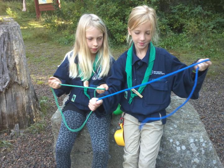 KnudeKurt og KnobBob