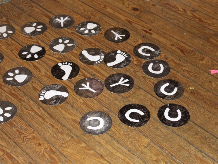 Peter Pedal - Cirkusnatløb