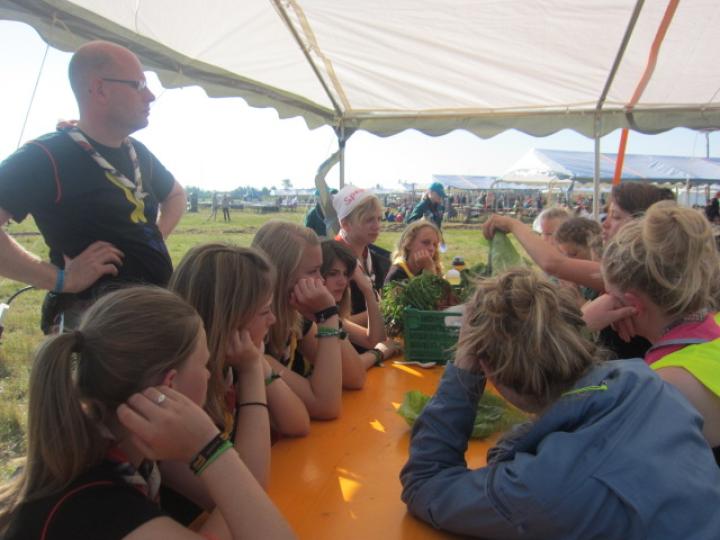 Brug en observatør (BRO)