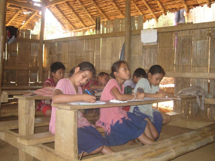 Super woman- Evolutionsleg