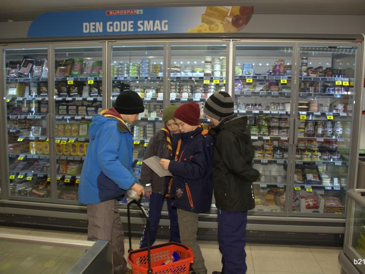 Lev for 1,25 $ om dagen