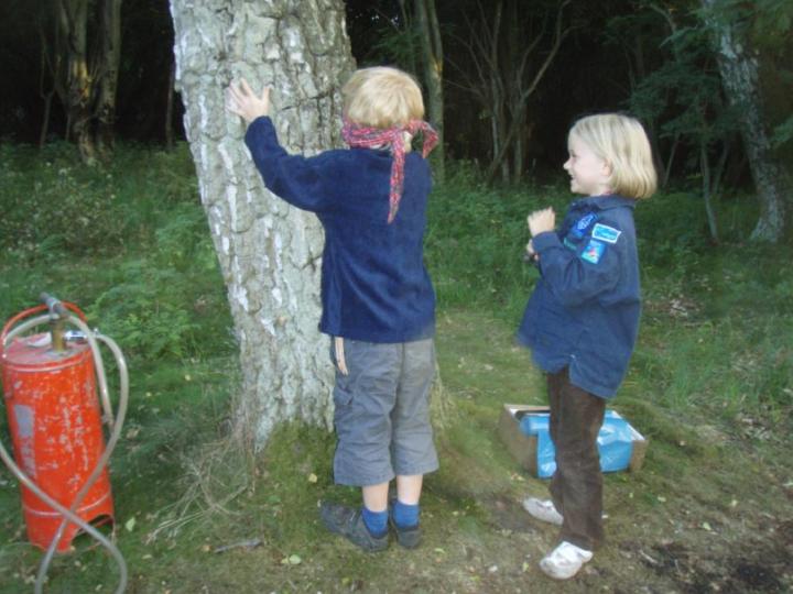 Kram et træ - Nordisk mytologi version