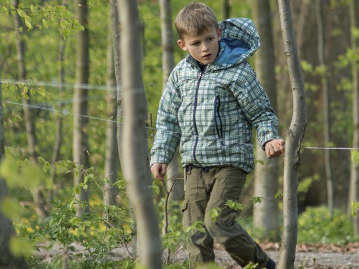 Find vej med tråd, havregryn, mel osv.