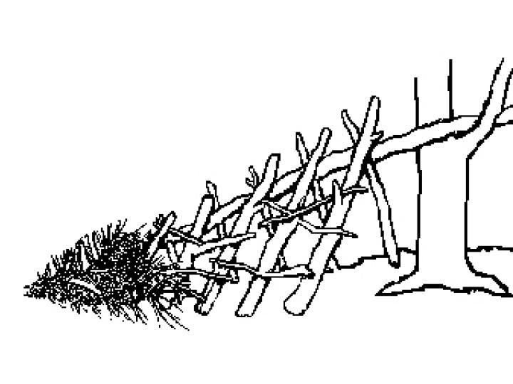 Primitiv enmands bivuak