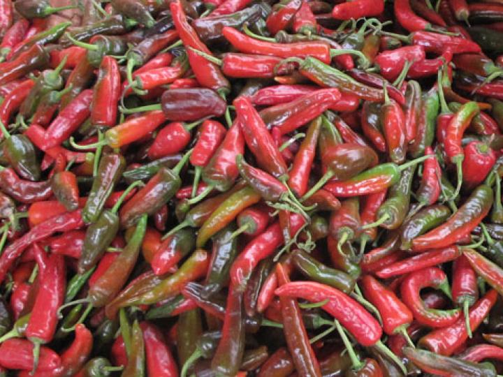 Ezay (Bhutanesisk chilidip)